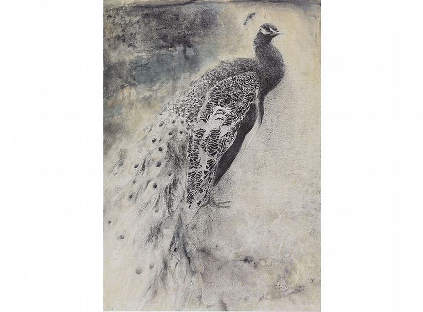 梁兆熙《孔雀I》．木炭紙本．96×68 cm．2014。