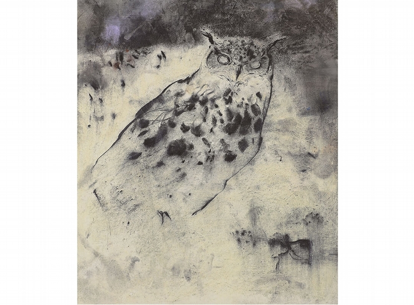 梁兆熙《貓頭鷹A01》．水彩、木炭、紙本．53×43 cm．2015。