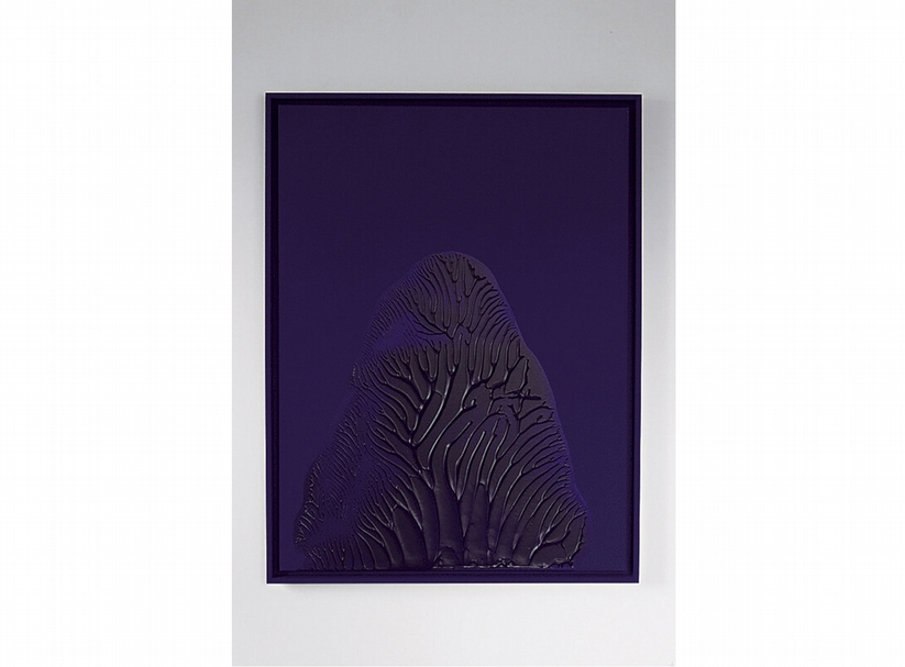 （OFF）ICIELLE：22，48 m²畫廊。Thomas Tronel-Gauthier 《海外》 （Outre-mer）．2015。