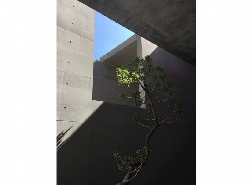 九九峰下,美育生根 喜迎《毓繡美術館》開幕