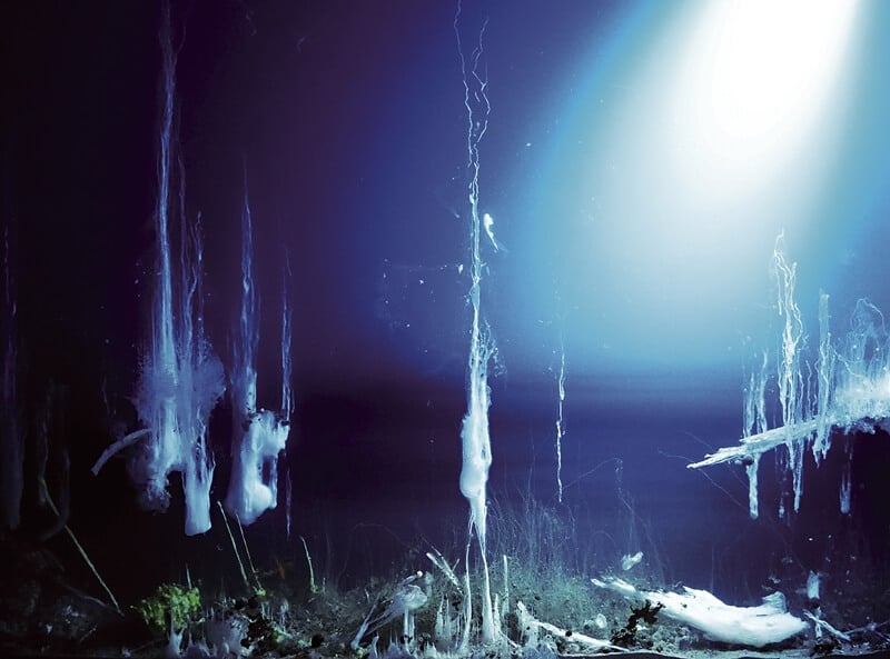 希沙姆．貝哈達《預兆》，2013。