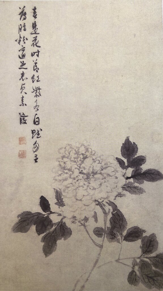 明陳淳〈牡丹花卉圖〉,北京故宮藏。