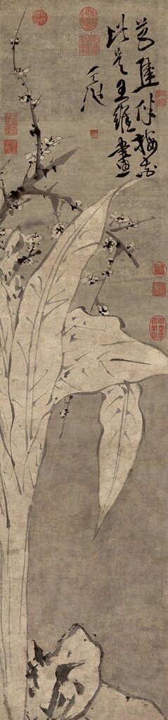 明徐渭〈梅花蕉葉圖〉,北京故宮藏。