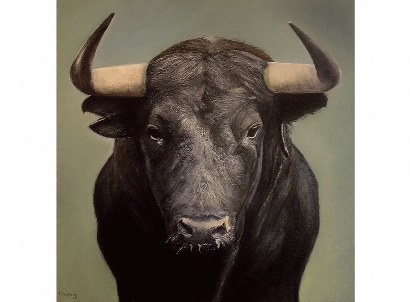 Tomas Castano《Brave Bull》．油彩、畫布．50×50 cm．2015。