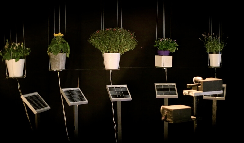 紀柏豪，〈聲伏效應〉，2014，發電裝置、太陽能板、震動式喇叭、音訊器材、植物、複合媒材，尺寸依展出場地而異。藝術家自藏。