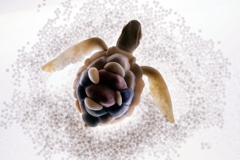 碧娜‧尤妲絲，〈過剩生態系〉，2014-，多媒體裝置藝術，結合動力雕塑、繪畫、印刷品，尺寸因展出場地而異。藝術家自藏。