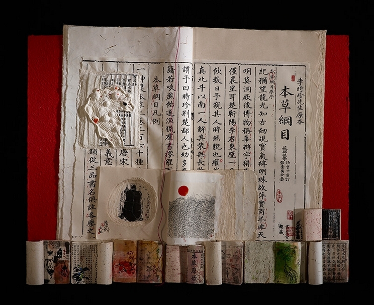 袁金塔，本草綱目，146X118cm，畫布、手工書，2016。