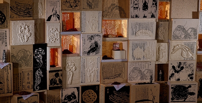 袁金塔，本草綱目新編，1120X270X150cm ，水墨鑄紙綜合媒材(局部)，2015。
