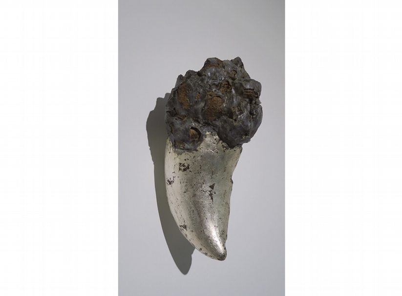 水谷篤司《像是閃電的爪或者是獸牙2》.乾漆、銀箔.33×17×16 cm.2015。