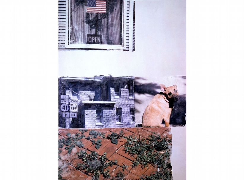 Page 10, Paragraph 3 (Short Stories) 2001 Pigment transfer on polylaminate 85 1/2 x 61 in. 217.2 x 154.9 cm Art © Robert Rauschenberg Foundation/Licensed by VAGA, New York, NY