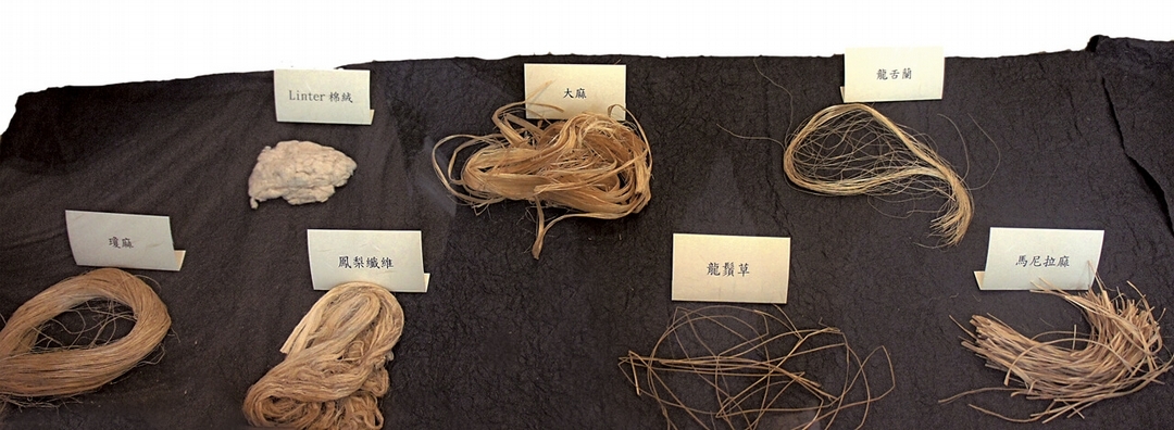 製紙原料有棉絨、大麻、龍舌蘭、瓊麻、鳳梨葉纖維、龍鬚草、馬尼拉麻等，每一種植物纖維長短及本身之木質素等，都將形成不同的紙質特色。攝影／藍玉琦。