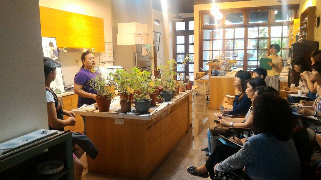 林賢美舉辦「卑南阿嬤的植物園工作坊」，與民眾分享藥用植物。