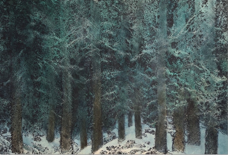 根深葉茂 Deep Roots and Luxuriant Leaves 2006 53X79cm 紙本水彩