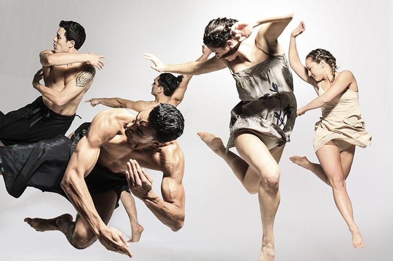Black Grace Dance Copmany。