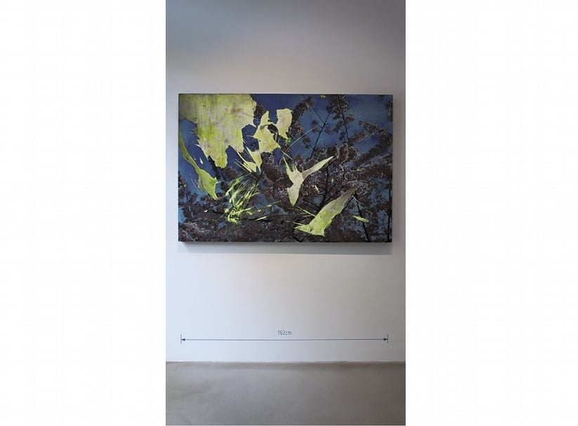 葉誌航《家庭相簿-21.飛鳥》‧壓克力顏料、畫布‧162×112 cm‧2016。
