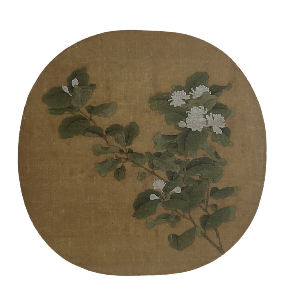 宋代佚名〈茉莉花〉紈扇，日本私人藏。