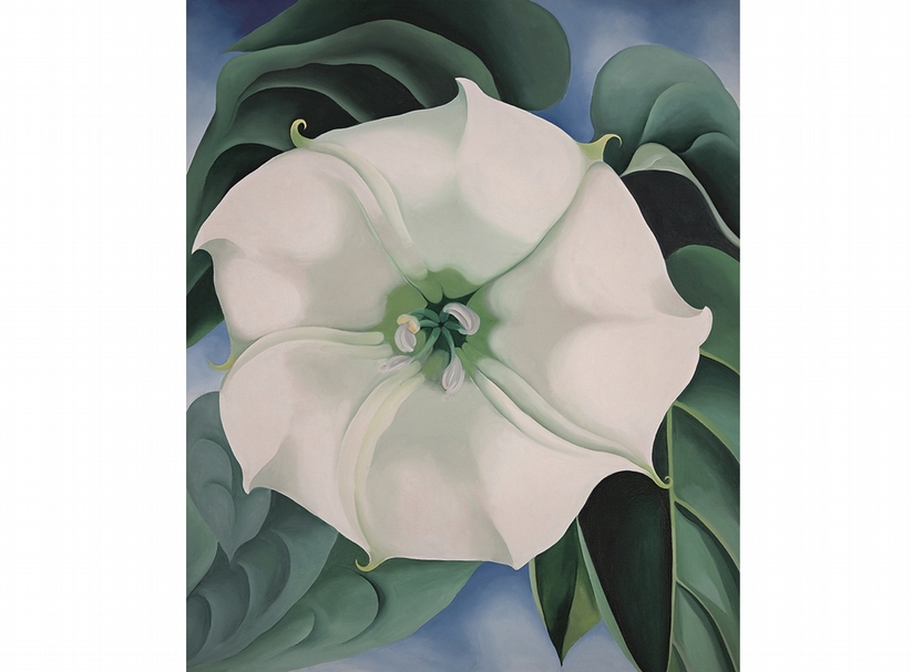 Georgia O’Keeffe, “Jimson Weed/White Flower No. 1”, 1932, Oil paint on canvas, 48×40 inches, Crystal Bridges Museum of American Art, Arkansas, USA, Photography by Edward C. Robison III © 2016 Georgia O’Keeffe Museum/DACS, London