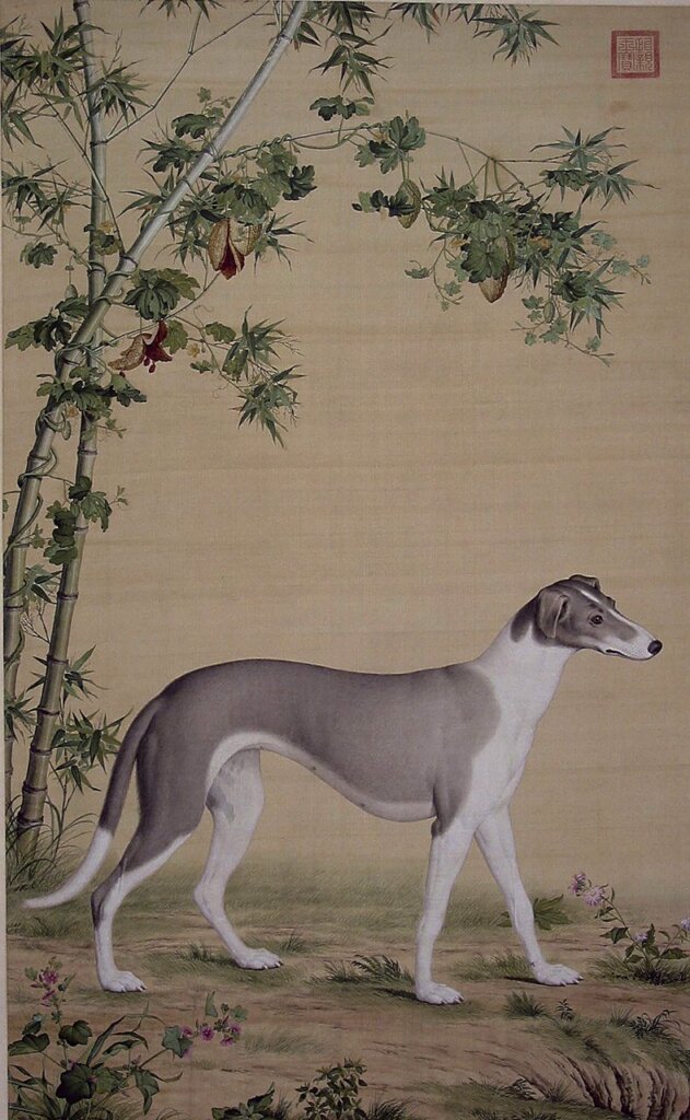 清郎世寧〈竹蔭西狑圖軸〉。