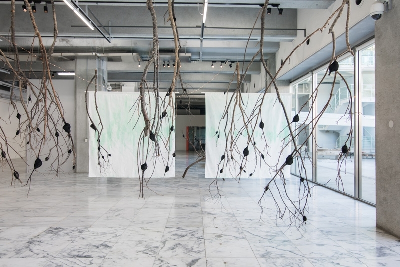 「台北美術獎」展場一景，圖為許喬彥作品。©台北市立美術館
