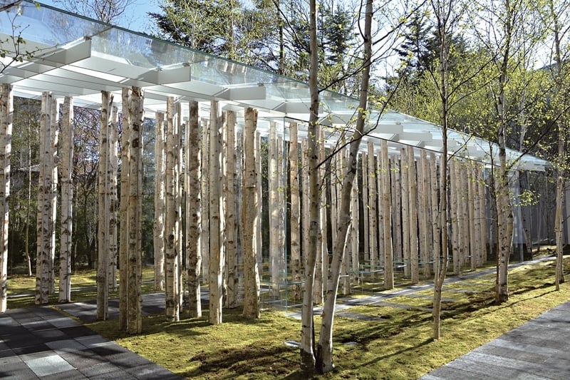 白石集團輕井澤新藝術美術館戶外白樺樹玻璃教堂。©KENGO KUMA & ASSOCIATES