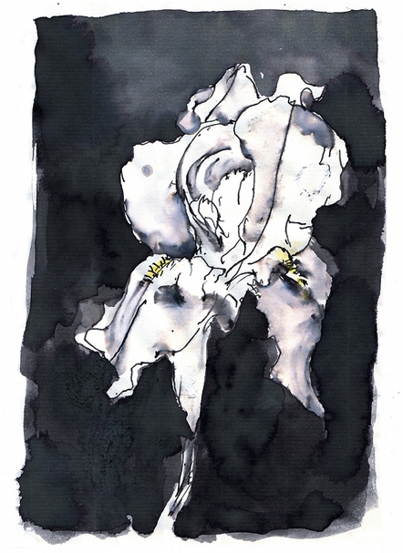 伯格於《班托的素描簿》（Bento's Sketchbook）中的手繪稿。（Youlhwadang Publishers提供,©Yves Berger）