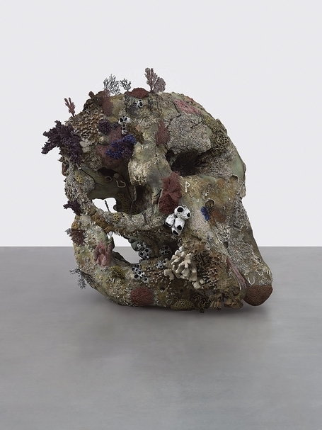 赫斯特《Skull of a Cyclops》。Photographed by Prudence Cuming. Associates © Damien Hirst and Science Ltd. All rights reserved