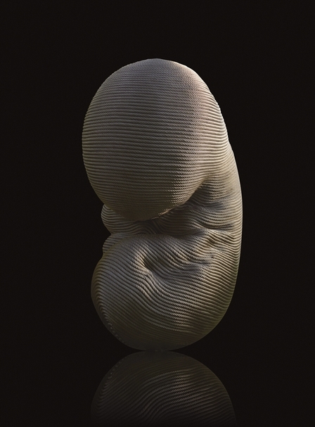 康木祥鋼纜作品《迴生》．238×158×128 cm。圖｜康木祥工作室