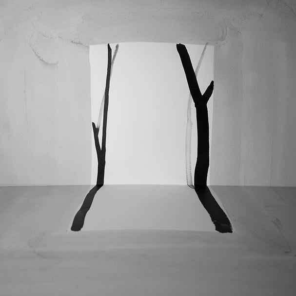 王雅慧│問影#2 微噴輸出藝術紙 100x100cm 2017 圖│銀川當代美術館
