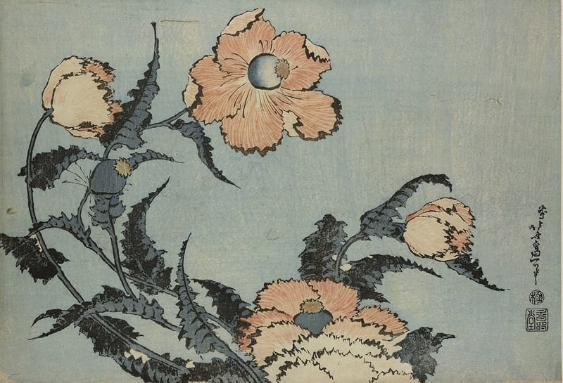 圖3 葛飾北齋1831~1832年作〈橫大判花鳥畫〉之〈芥子〉,彩色木刻版畫,©The Trustees of the British Museum。圖∣大英博物館(British Museum)