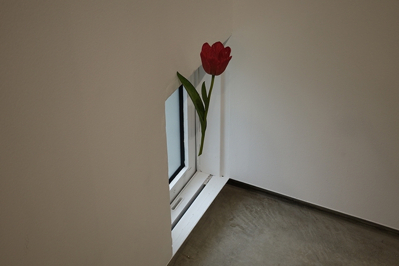 毓繡美術館「花｜非花──須田悅弘個展」現場。攝影：游如伶