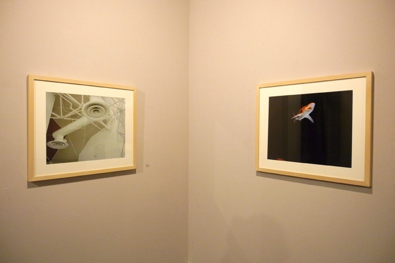 蓋爾（Mark Geil）的攝影作品於展覽現場。圖片提供：賴依欣