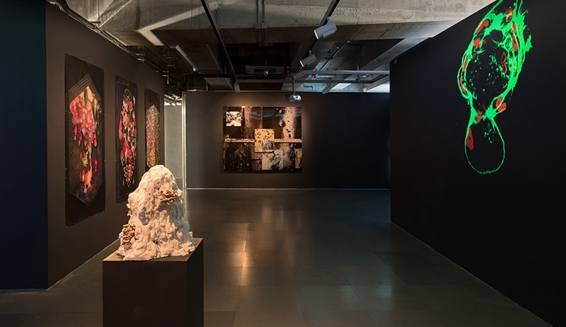 馬凌（香港）畫廊和印尼ROH Projects聯合策畫藝術家Syaiful Garibaldi和Arin Sunaryo的雙聯展「ω」，圖為展覽現場。圖片提供：馬凌畫廊