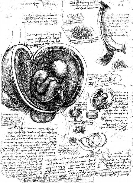 Da Vinci The Genius 尋找達文西密碼