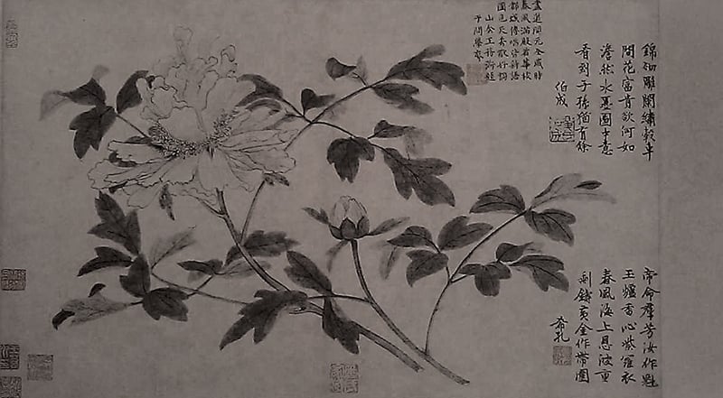 元王淵〈墨牡丹圖〉卷,37.7×61.5公分,北京故宮藏。圖為局部。圖∣凌利中