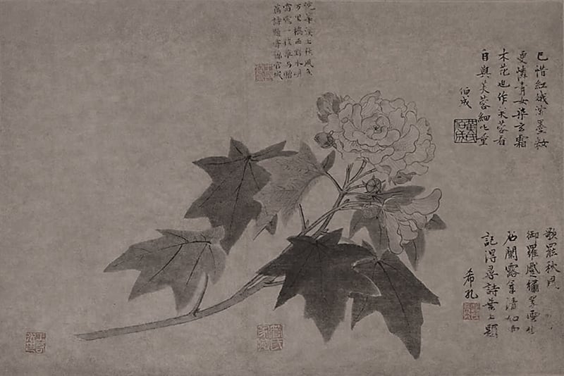 元王淵〈水墨木芙蓉圖〉冊頁,38.7×60.5公分,美國佛利爾美術館藏。圖∣凌利中