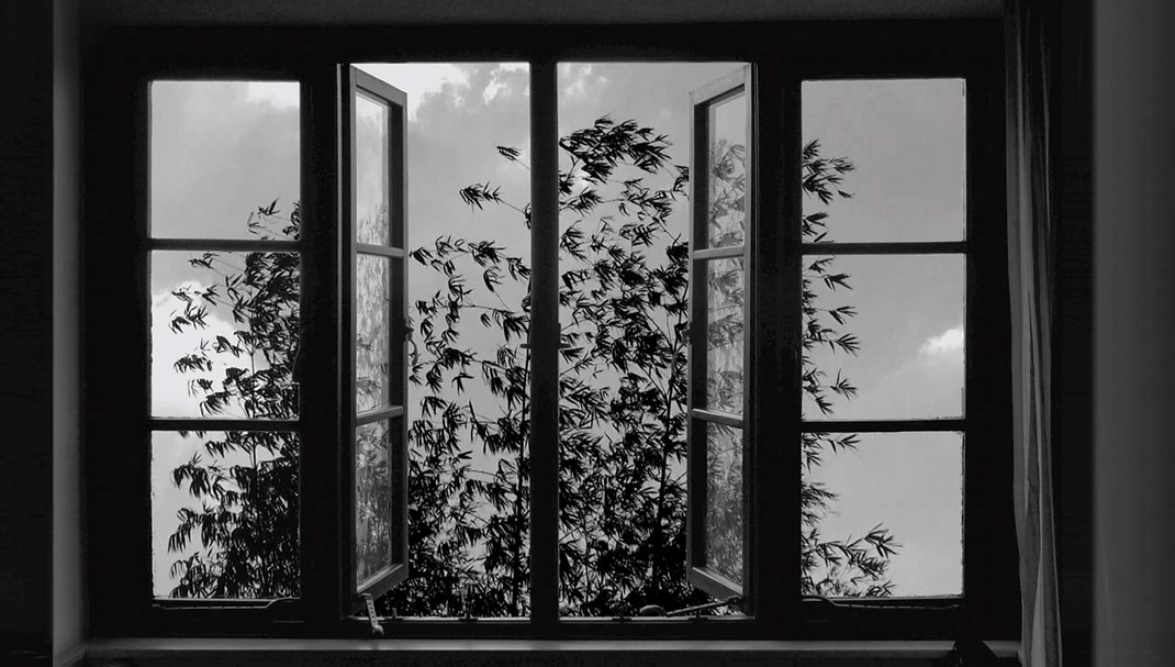 阿巴斯(Abbas Kiarostami)的《24格》。圖│金馬影展