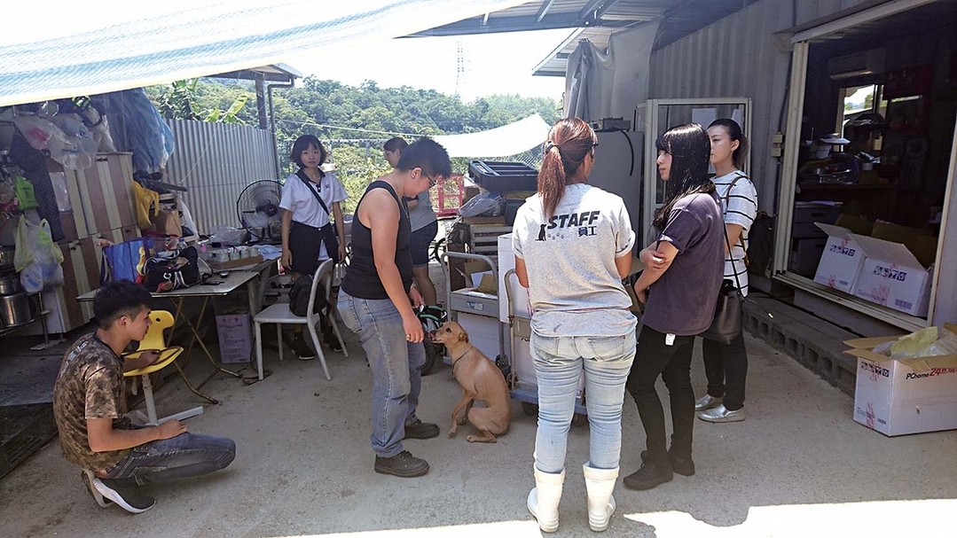 「設藝之間」團隊走訪全省各動保團體，了解待救助動物真正的需求。圖｜設藝之間