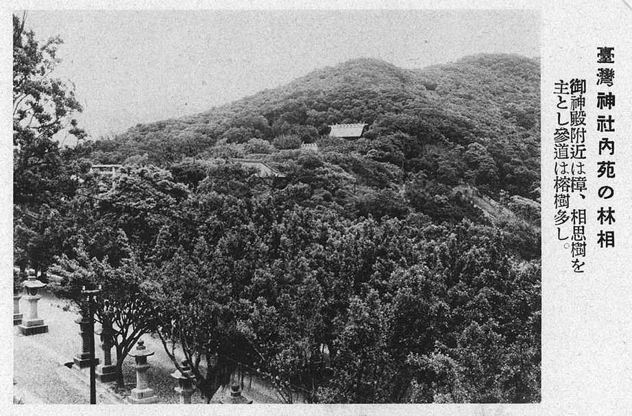 日治時期針對台灣神社（1944年改制為台灣神宮，現為圓山飯店）劍潭山鎮守森林的相關研究資料。（資料來源：國立台灣圖書館）