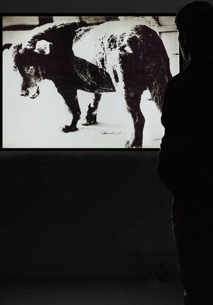 森山大道（Moriyama Daido）此次展出的作品《野狗》。（Each Modern亞紀畫廊提供）