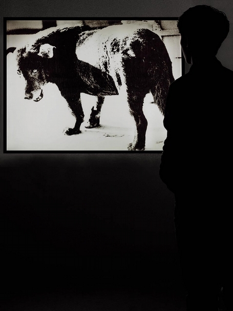 森山大道 Moriyama Daido：Radiation