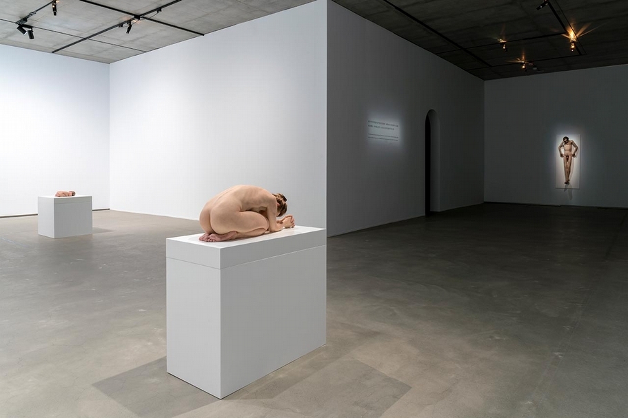毓繡美術館舉辦山姆．詹克斯（Sam Jinks）個展「流變之身」展覽現場。（毓繡美術館提供）