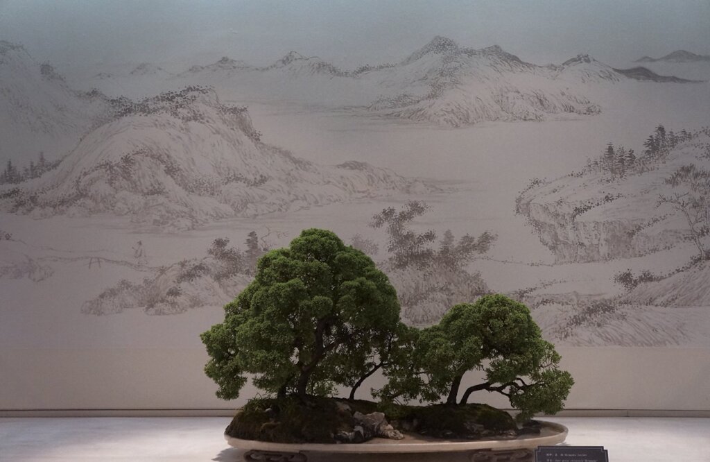 園林經濟促進清代揚州書畫的興盛。圖為揚州盆景博物館展品。