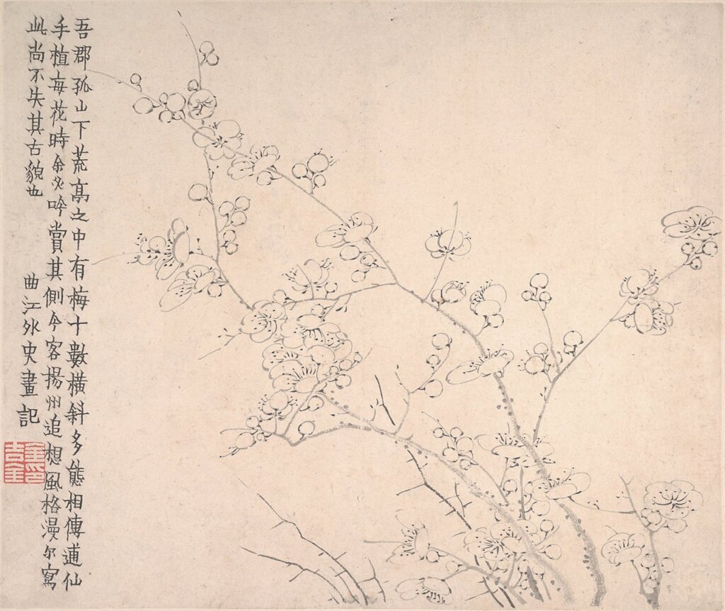 清金農〈梅花圖〉冊，美國大都會藝術博物館藏，圖為其中一開。金農自題：「今客揚州，追想風格，漫寫此，尚不失其古貌也。」圖╱美國大都會藝術博物館官網。