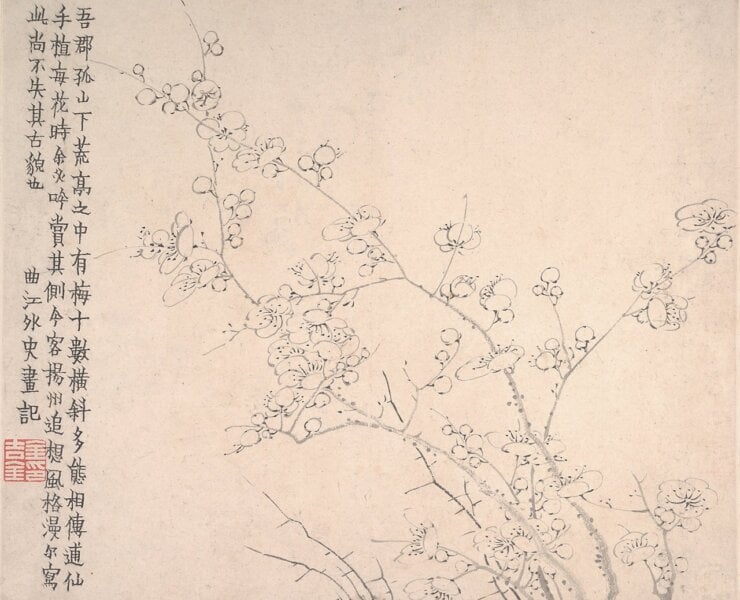 清金農〈梅花圖〉冊，美國大都會藝術博物館藏，圖為其中一開。金農自題：「今客揚州，追想風格，漫寫此，尚不失其古貌也。」圖╱美國大都會藝術博物館官網。