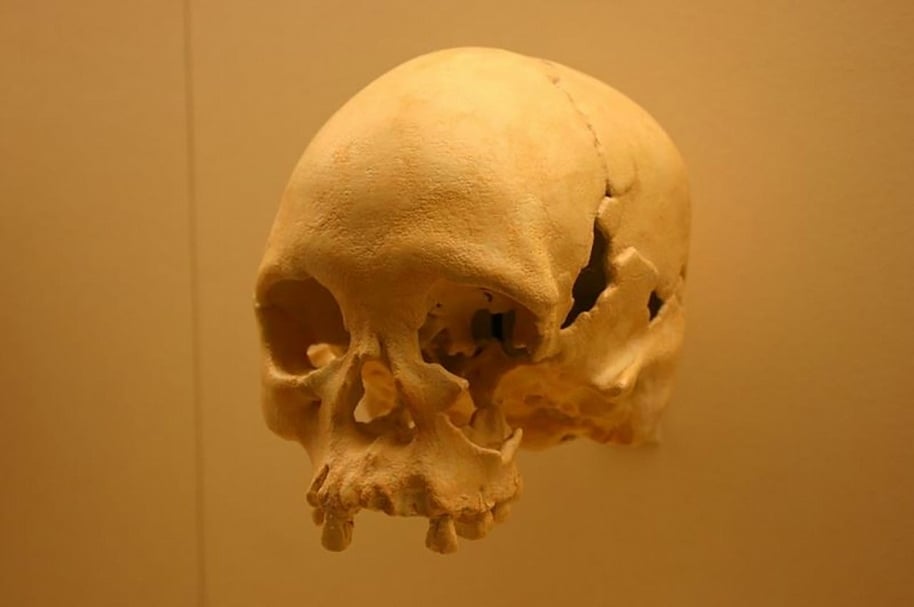巴西國家博物館（National Museum of Brazil）館藏，有著11,500年歷史的女性頭骨化石「露西亞」（Luzia），於1975年由考古學家Annette Laming-Emperaire在巴西的Lapa Vermelha發現。（©Ryan Somma）