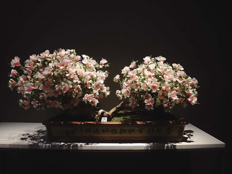 圖12 1981年以前台灣金同成窯〈大千題字陶花盆〉，張大千先生紀念館藏。 圖︱國立故宮博物院