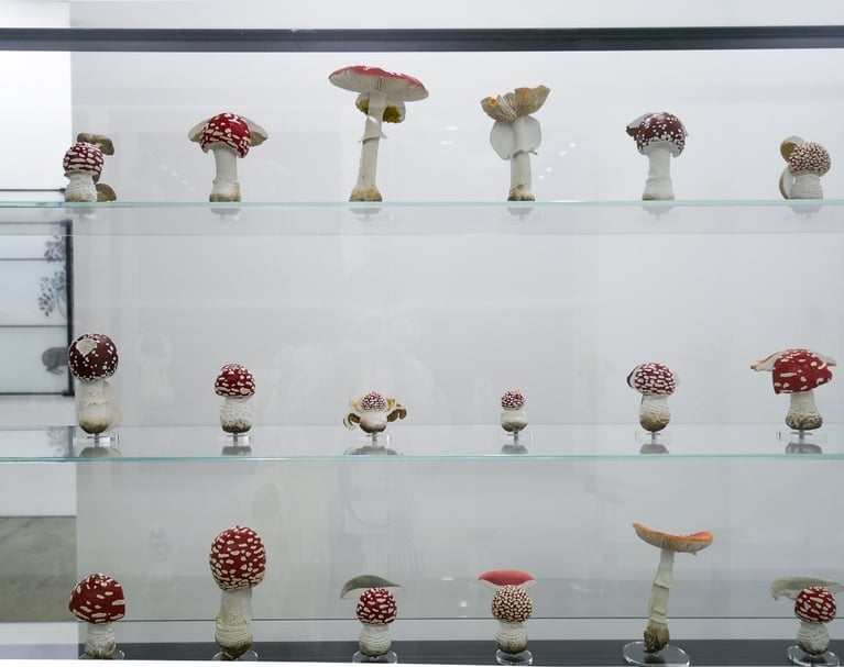 完整掃描「台北當代藝術博覽會」主題展區！卡普爾、阿布拉莫維奇、艾未未等作品不漏接
