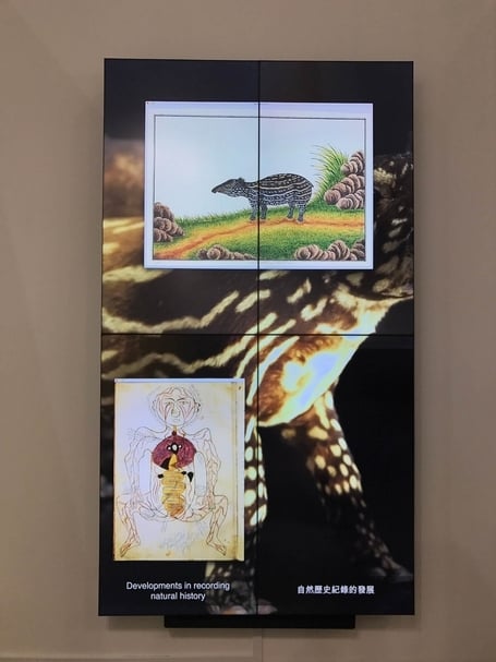 完整掃描「台北當代藝術博覽會」主題展區！卡普爾、阿布拉莫維奇、艾未未等作品不漏接