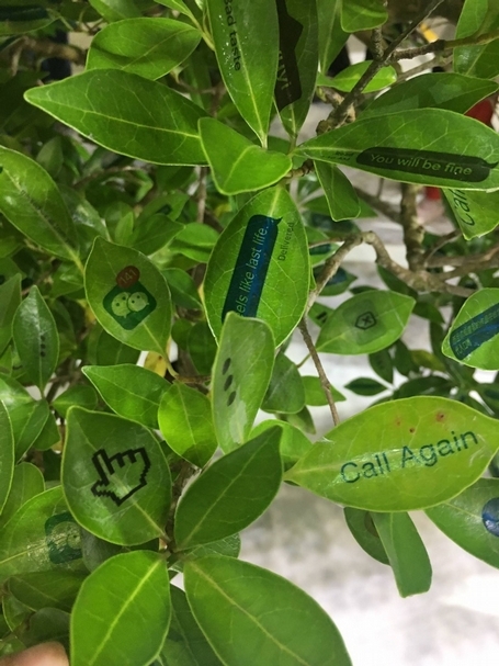 江宥儀的作品《我樹著打你》（I Tree to Call You）於裝置藝術展區。（本刊資料室）
