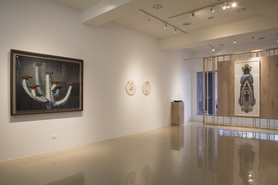 「滋長、移植、開發」展區王聖文作品。（藝術銀行提供）
